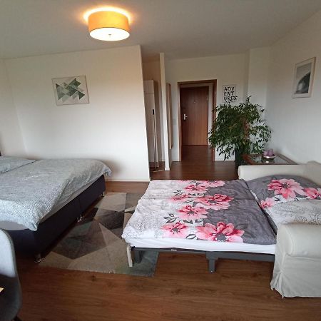 Exklusives Apartment Zw. Lu Und Speyer Mit Aufzug Neuhofen Buitenkant foto