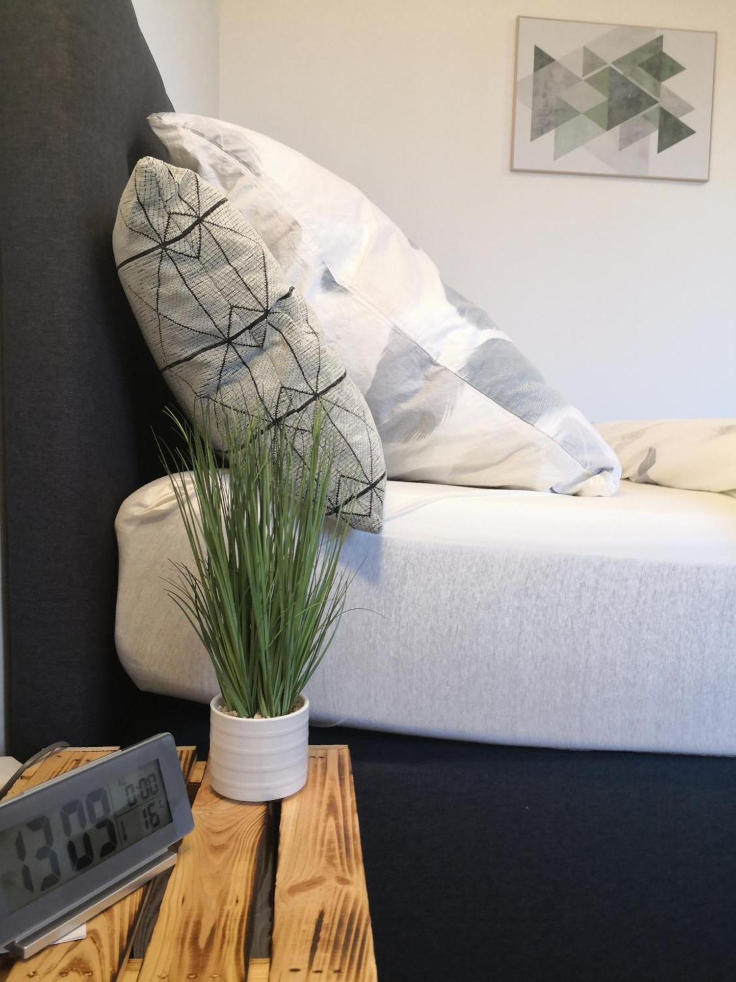 Exklusives Apartment Zw. Lu Und Speyer Mit Aufzug Neuhofen Buitenkant foto